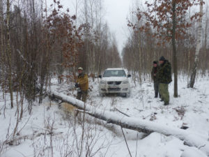 The fallen trees are a common obstacle on the way of researchers