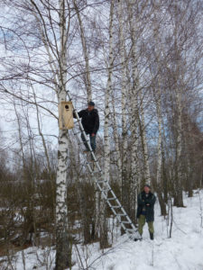 A nest box was installed