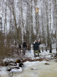 A nest box for the garrot