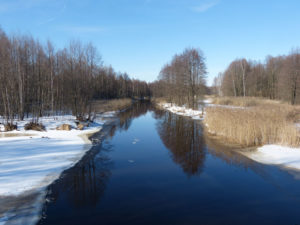 Exclusion Zone canals – typical places of the otter habitation