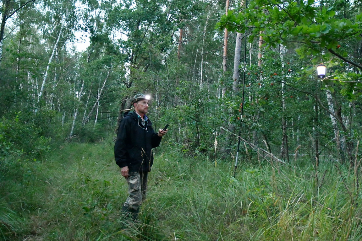 Моніторинг вокалізації рукокрилих біля тенет/Monitoring of the vocalization of the bats near the nets