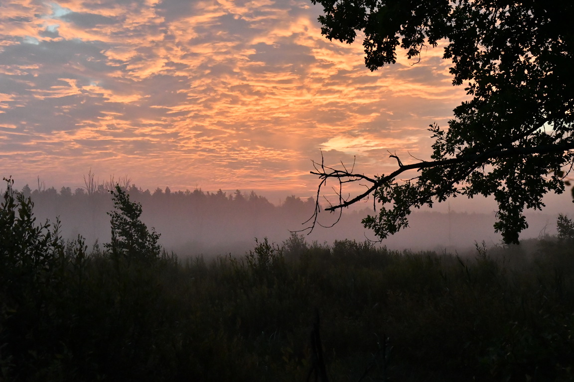 Кормові угіддя рукокрилих/Forage lands for the chiropterans